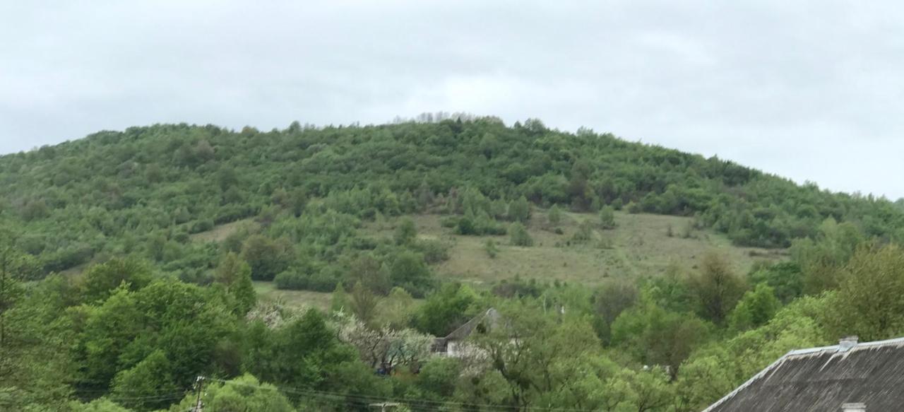 Квітковий Двір Golubinoye Bagian luar foto